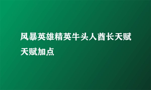 风暴英雄精英牛头人酋长天赋天赋加点