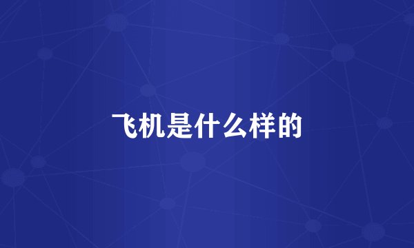 飞机是什么样的
