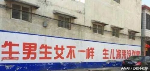 刘强东做了村长,你怎么看?