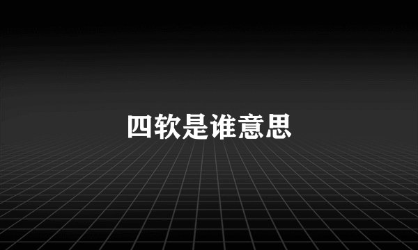 四软是谁意思