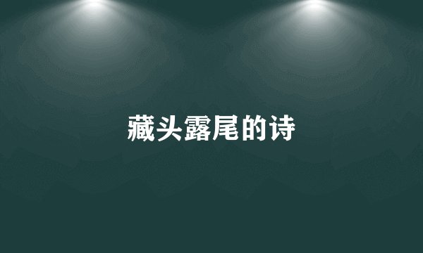 藏头露尾的诗