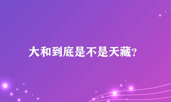 大和到底是不是天藏？