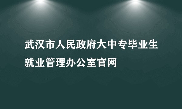 武汉市人民政府大中专毕业生就业管理办公室官网