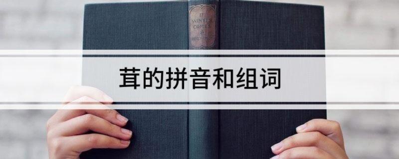 茸的拼音和组词