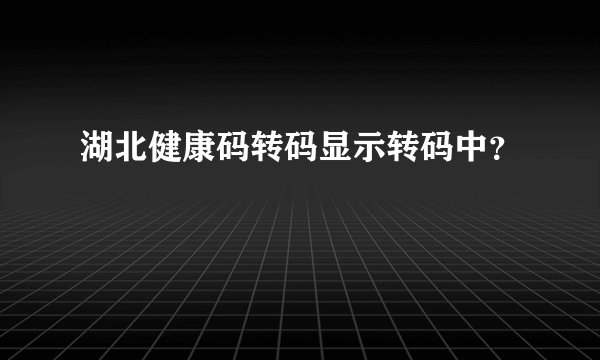 湖北健康码转码显示转码中？