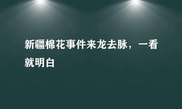 新疆棉花事件来龙去脉，一看就明白