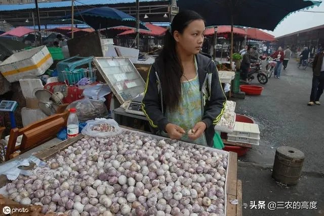 大蒜降价了