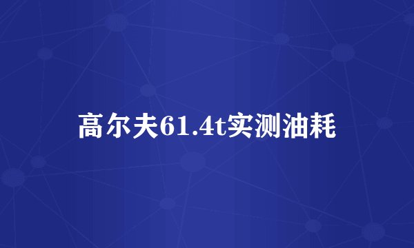 高尔夫61.4t实测油耗