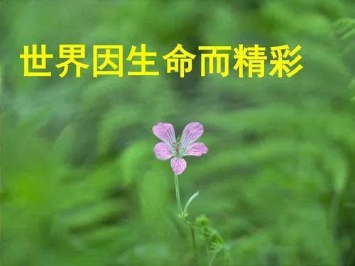货拉拉女用户跳车事件调查结果公布,这件事情给我们敲响了什么警钟?