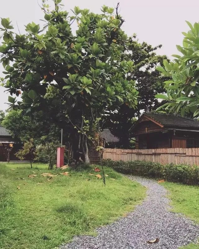 花莲哪几个景点不能错过?