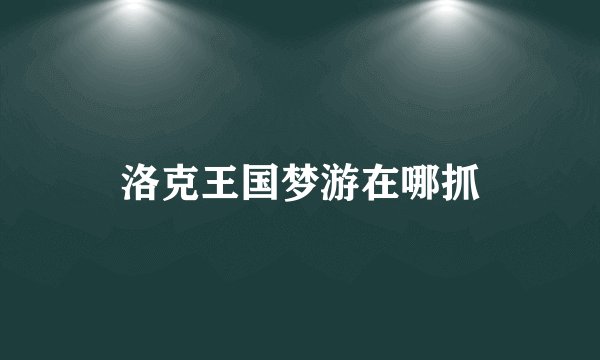 洛克王国梦游在哪抓