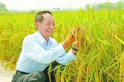 袁隆平有哪些贡献?