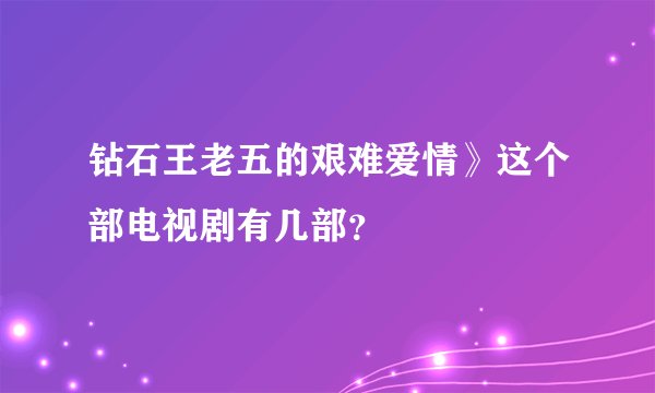 钻石王老五的艰难爱情》这个部电视剧有几部?
