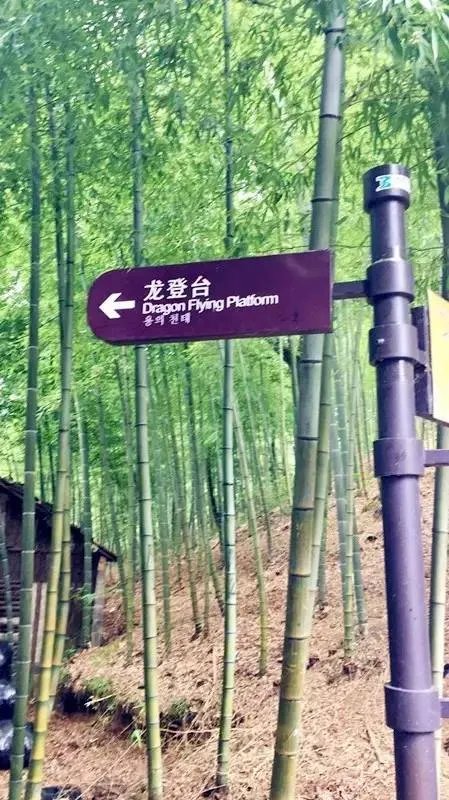 八一易居安吉行,我们在一起!【易居空间装饰】