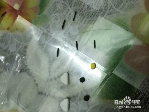 可爱的KITTY猫