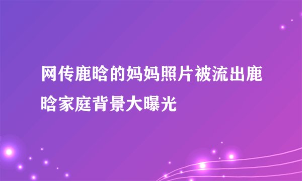 网传鹿晗的妈妈照片被流出鹿晗家庭背景大曝光