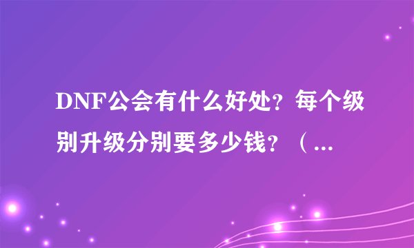 DNF公会有什么好处？每个级别升级分别要多少钱？（要看得懂的）