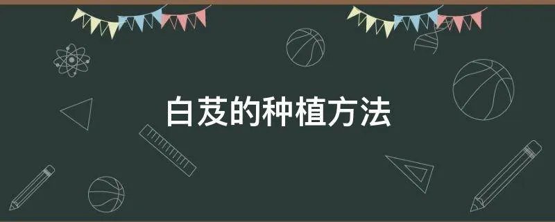 白芨的种植方法