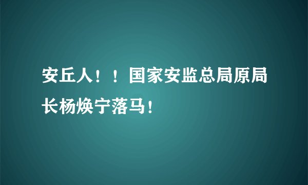 安丘人！！国家安监总局原局长杨焕宁落马！