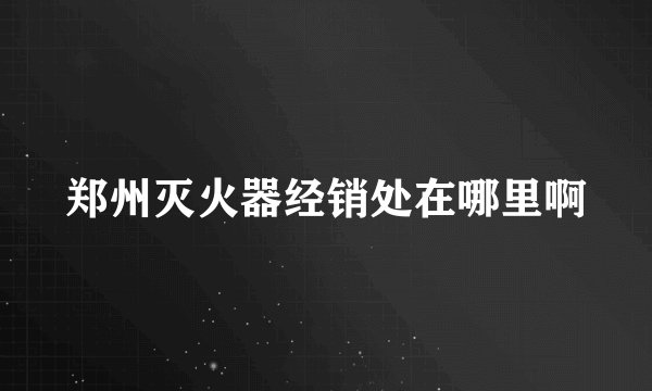郑州灭火器经销处在哪里啊