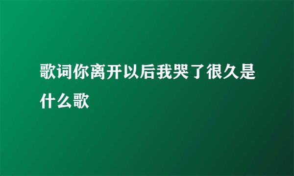 歌词你离开以后我哭了很久是什么歌