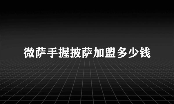 微萨手握披萨加盟多少钱