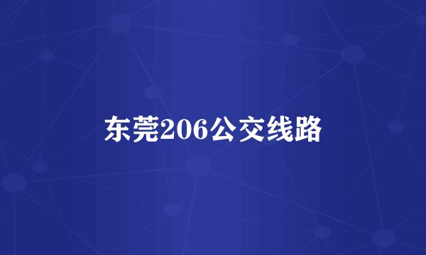 东莞206公交线路