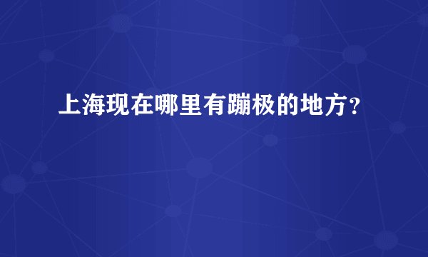 上海现在哪里有蹦极的地方？