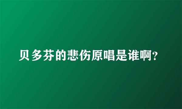 贝多芬的悲伤原唱是谁啊?