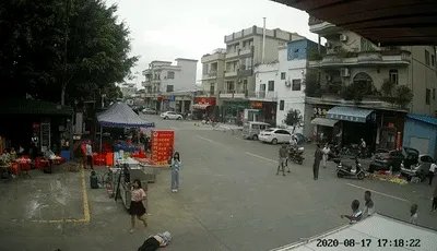 为什么佛山88岁老人被狗绊倒家属不追责?如何去理解这种做法?