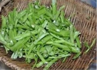 空心菜梗