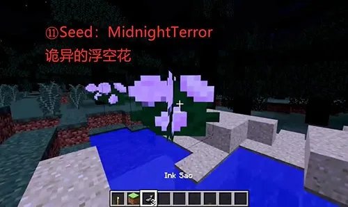我的世界十大诡异种子2024