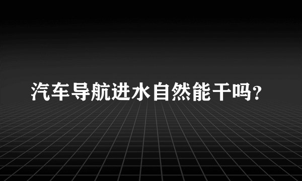 汽车导航进水自然能干吗?