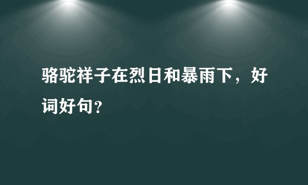 骆驼祥子在烈日和暴雨下,好词好句?