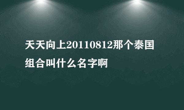 天天向上20110812那个泰国组合叫什么名字啊
