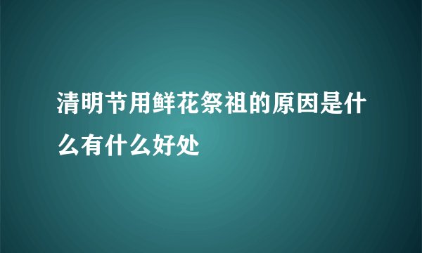 清明节用鲜花祭祖的原因是什么有什么好处