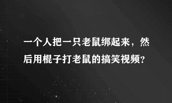 一个人把一只老鼠绑起来，然后用棍子打老鼠的搞笑视频？