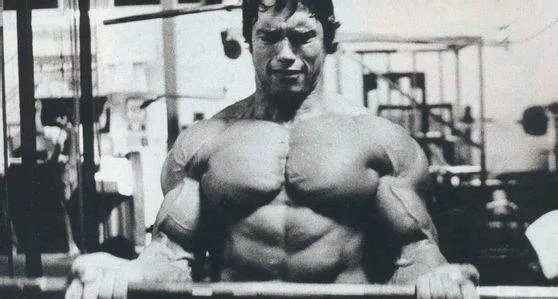 求阿诺施瓦辛格肌肉图