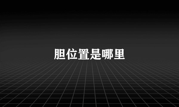 胆位置是哪里