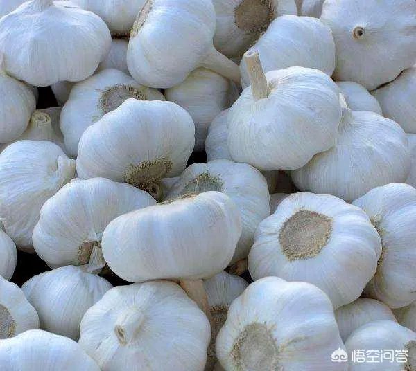 大蒜降价了