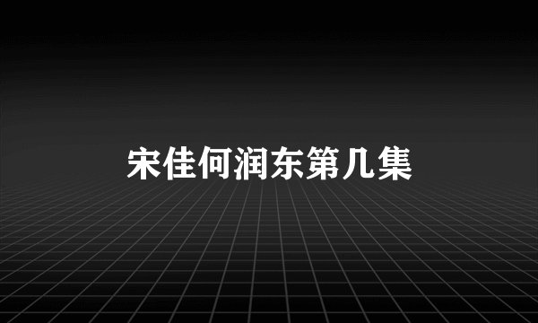宋佳何润东第几集