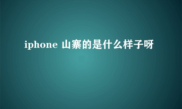 iphone 山寨的是什么样子呀