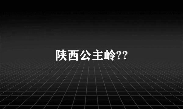 陕西公主岭??
