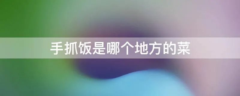 手抓饭是哪个地方的菜