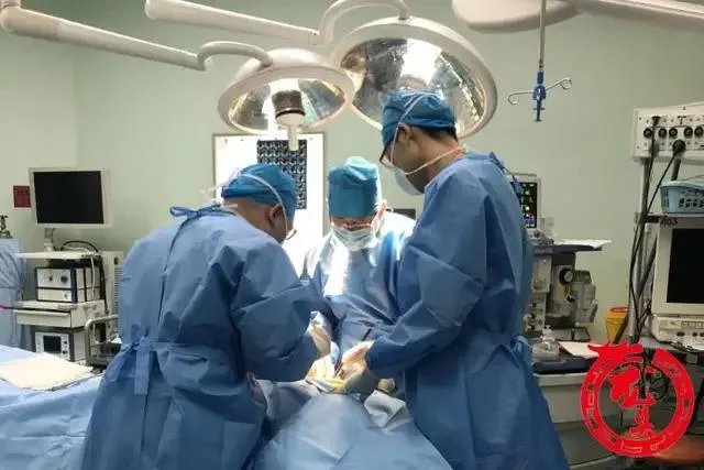 哈同高速一大客车侧翻,哈医大一院全力救治33名伤者, 你怎么看?