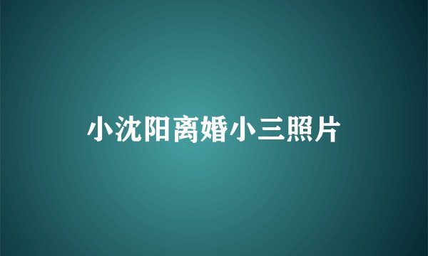 小沈阳离婚小三照片