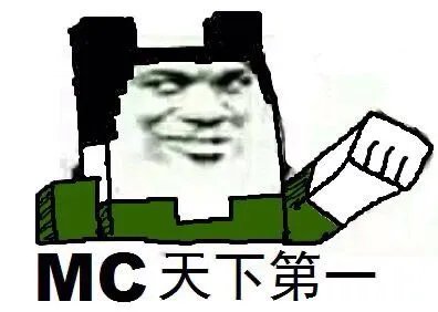 大家喜欢迷你,还是MC?