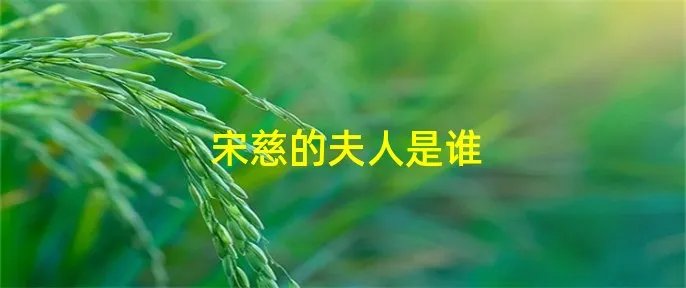 宋慈的夫人是谁