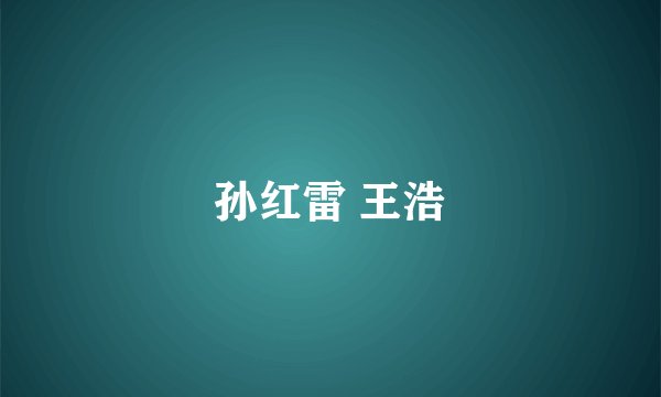 孙红雷 王浩
