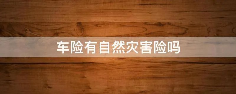 车险有自然灾害险吗